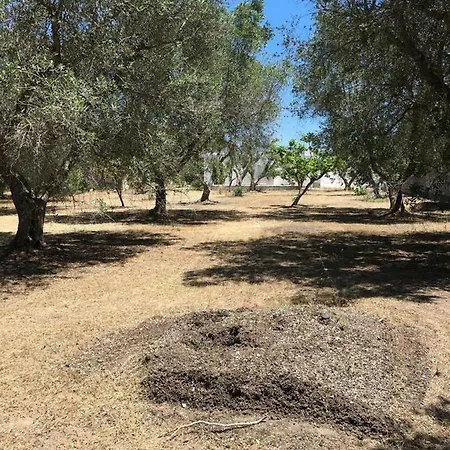 Hébergement de vacances Casa Turfino